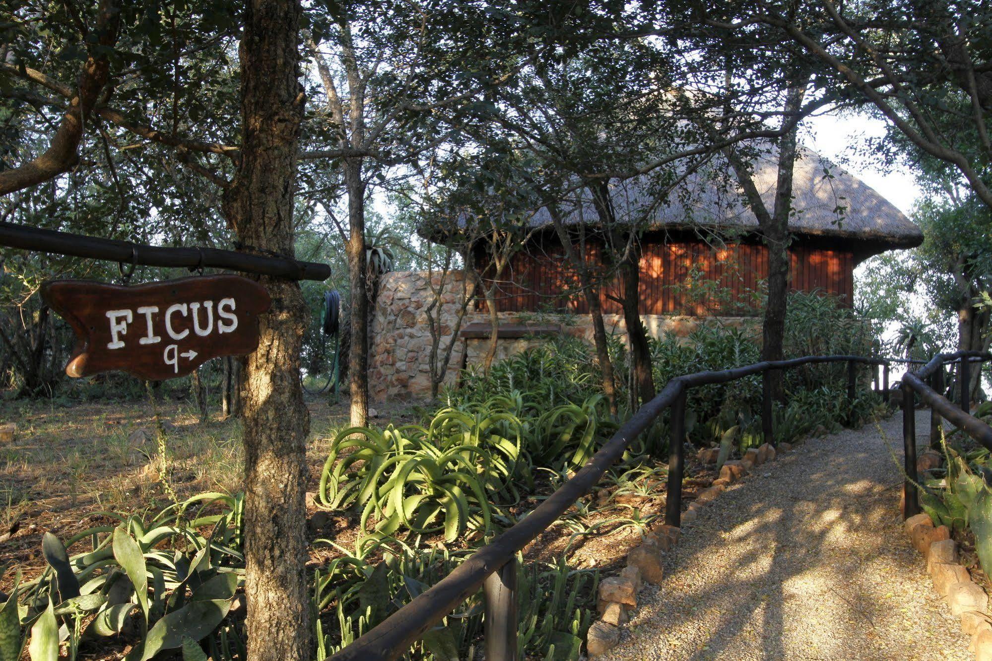 Shayamoya Tiger Fishing And Game Lodge Pongola Exterior photo